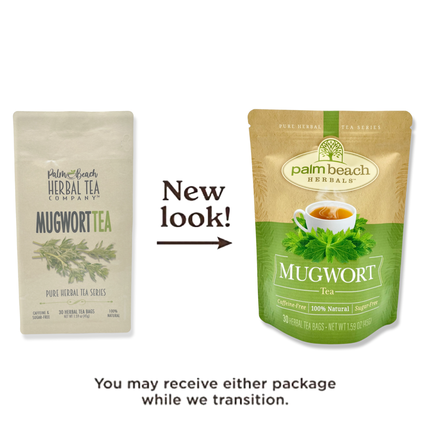 Mugwort Tea