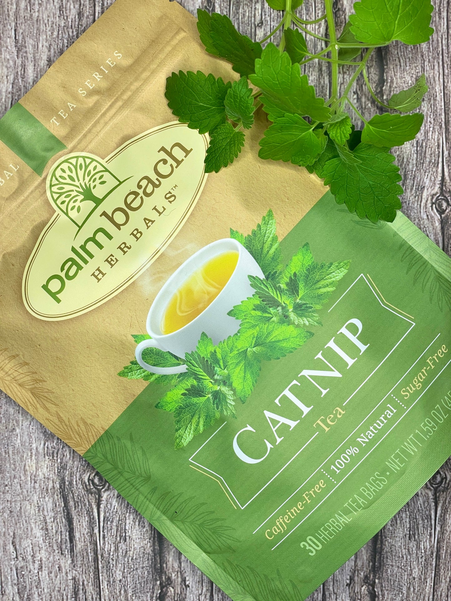 Catnip Tea