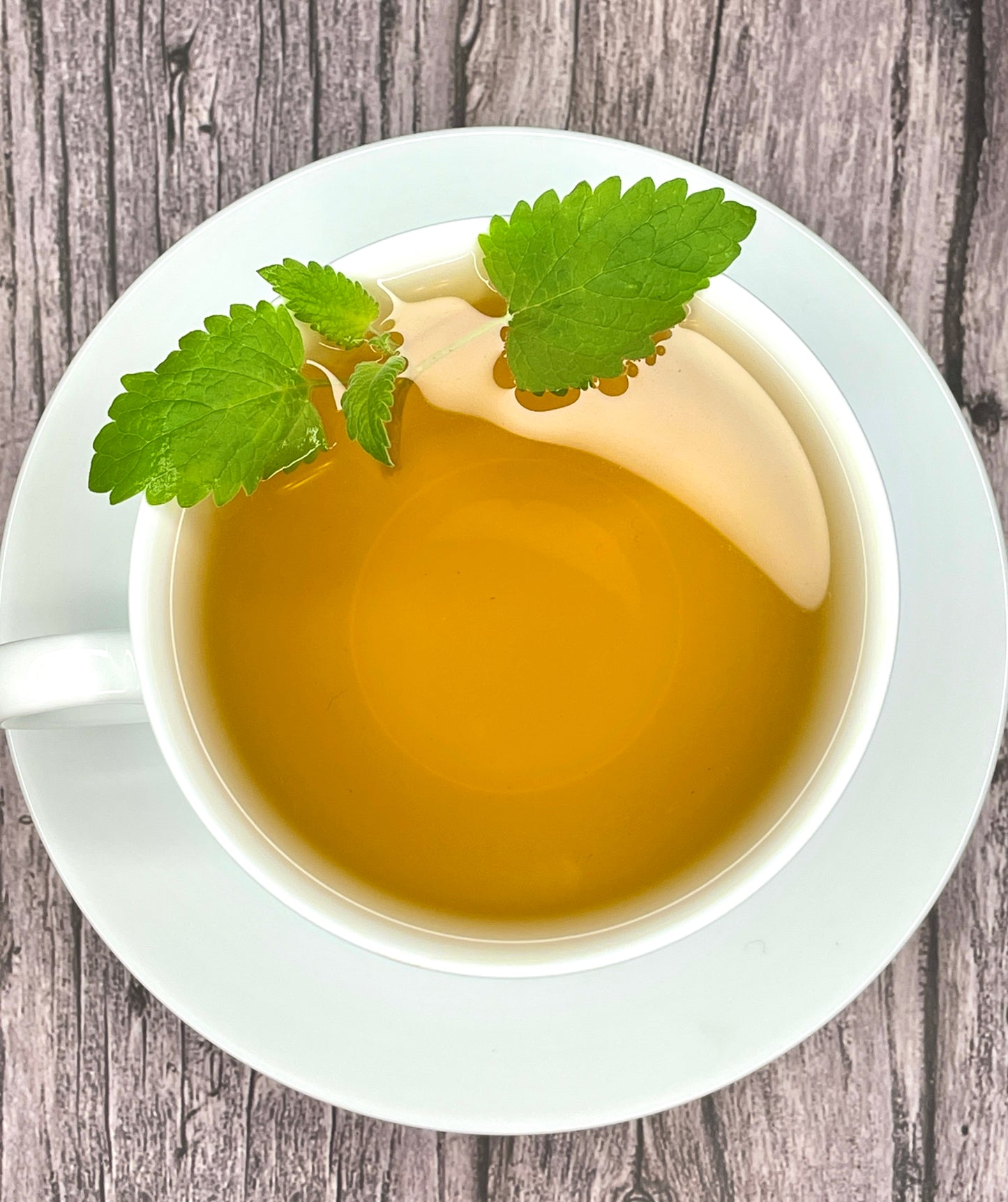 Catnip Tea