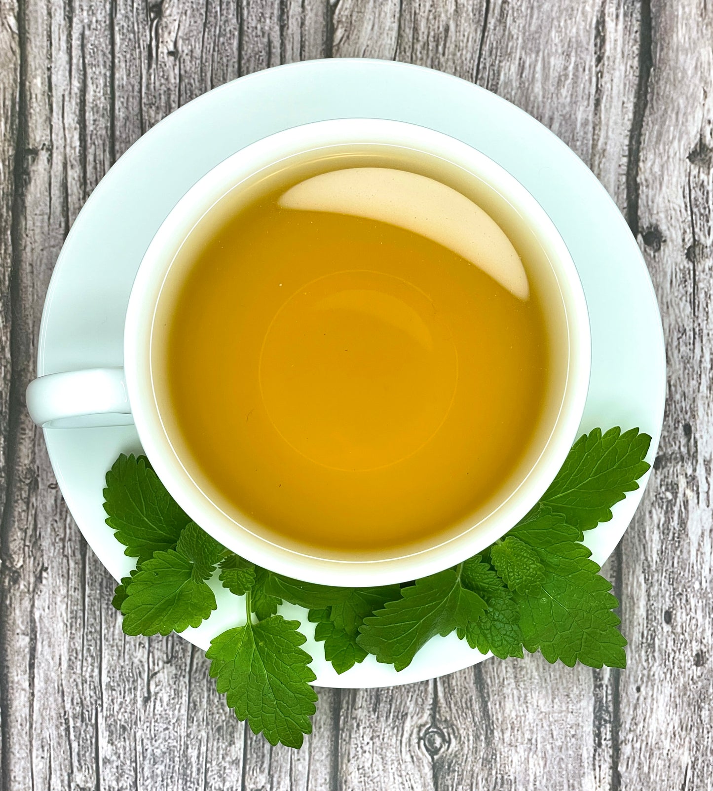 Catnip Tea