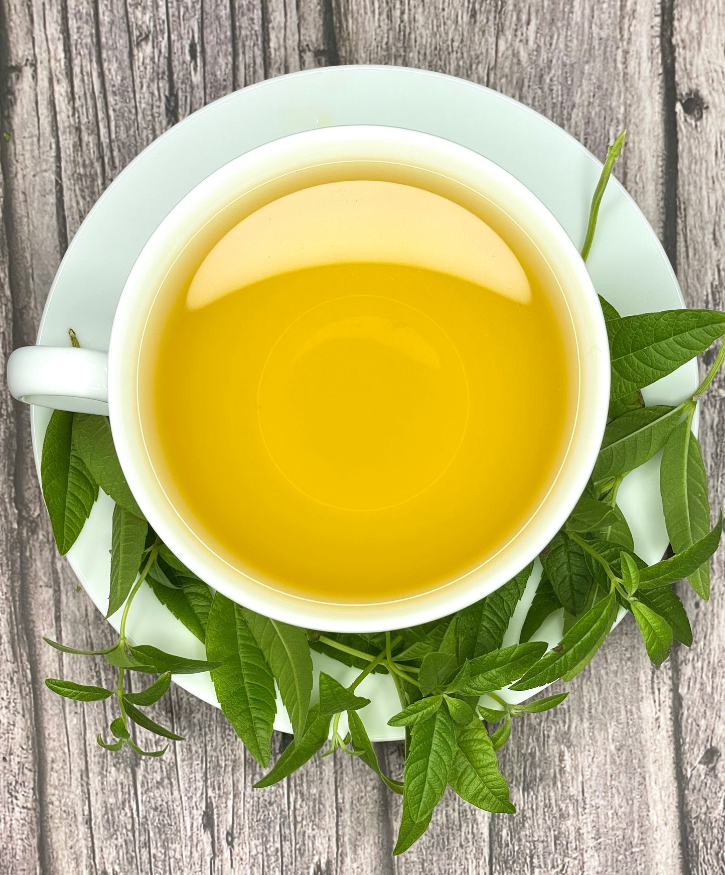 Lemon Verbena Tea
