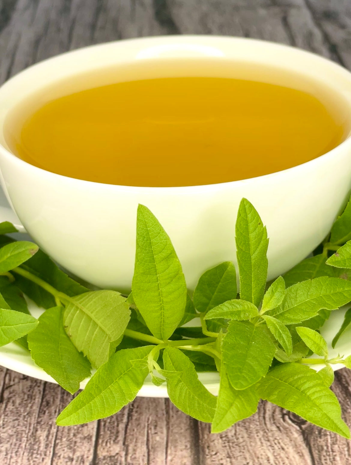 Lemon Verbena Tea