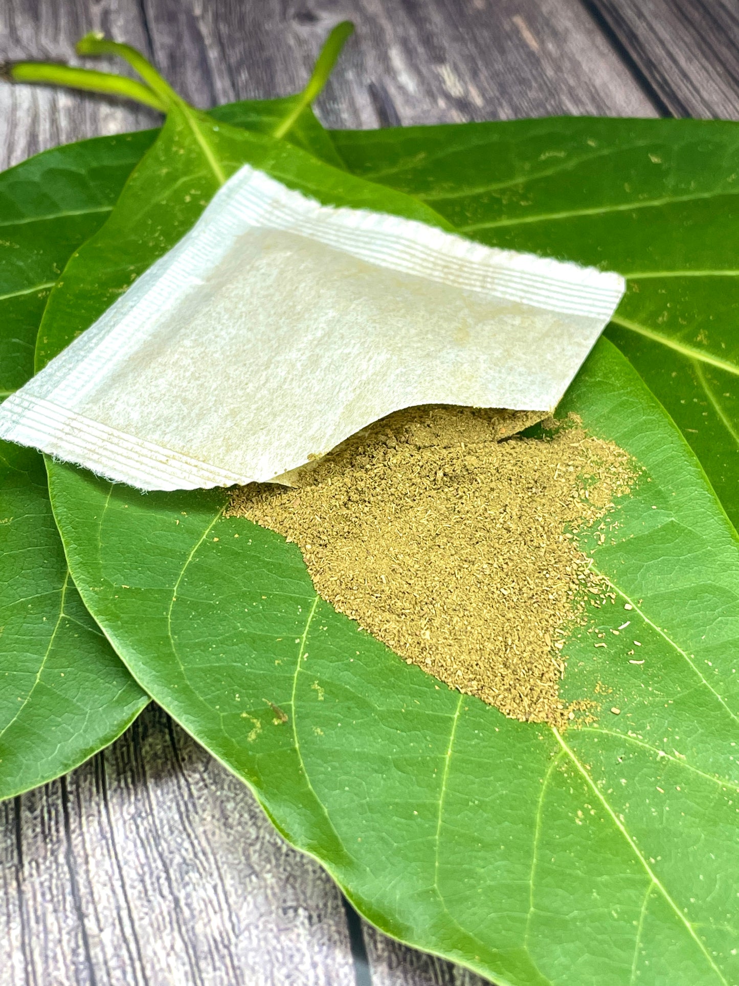 Avocado Leaf Tea