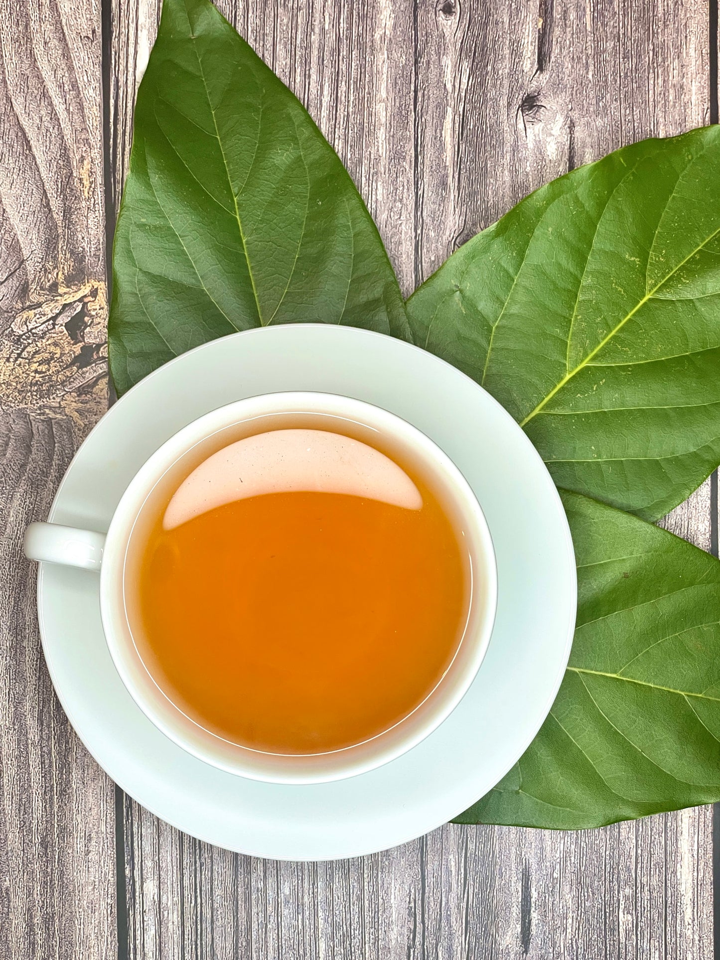 Avocado Leaf Tea