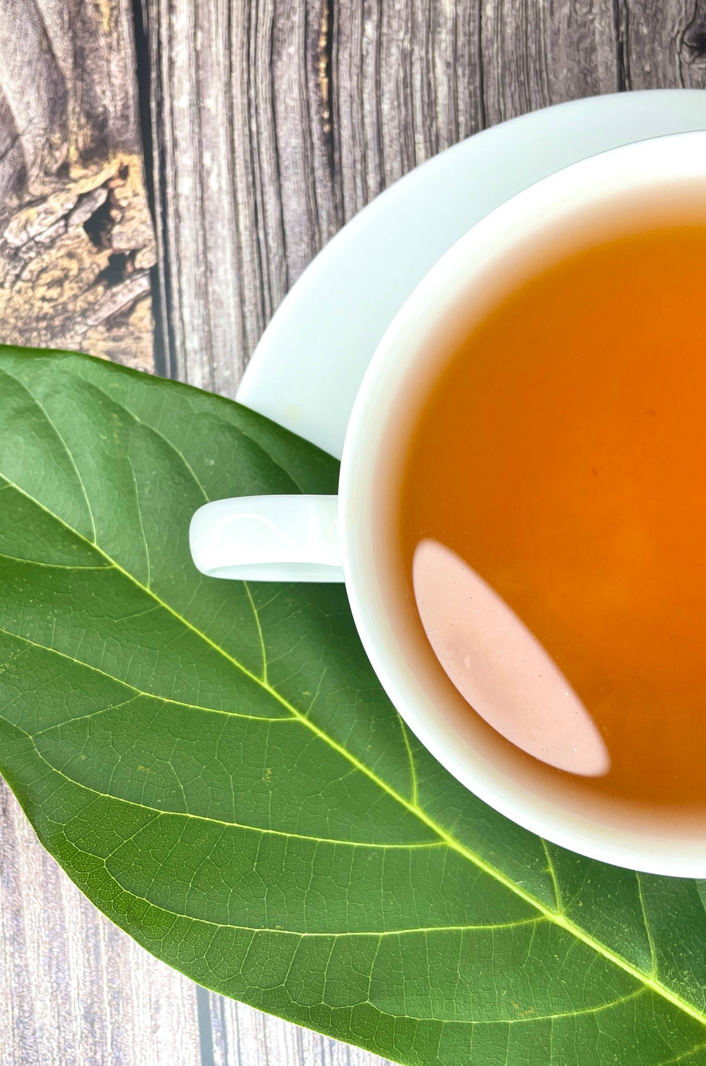 Avocado Leaf Tea