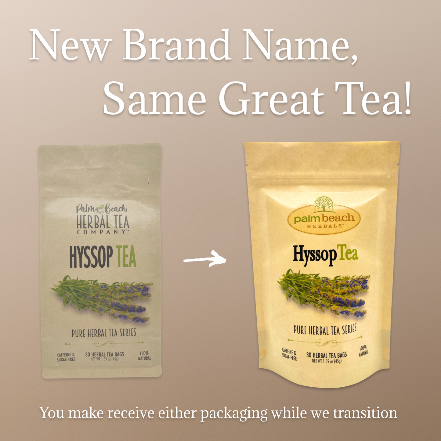 Hyssop Tea