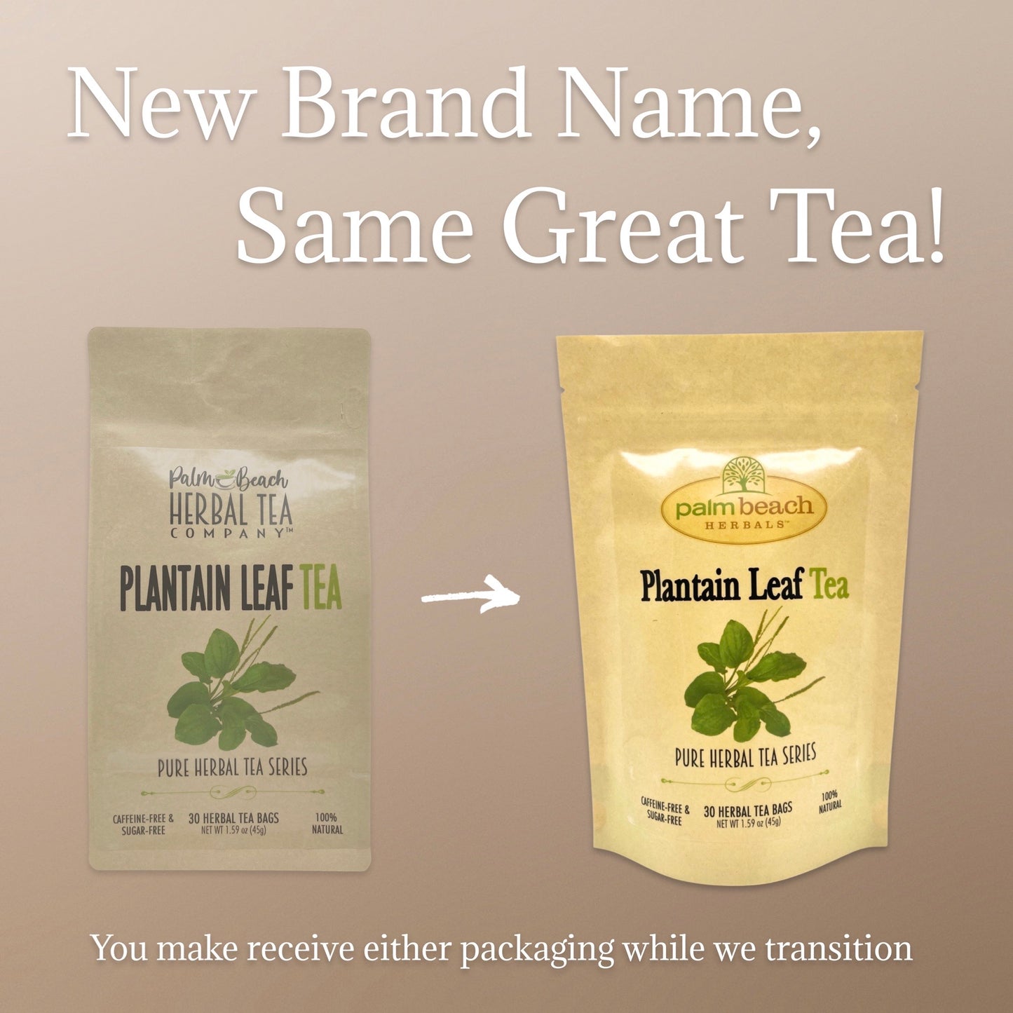 Plantain Leaf Tea