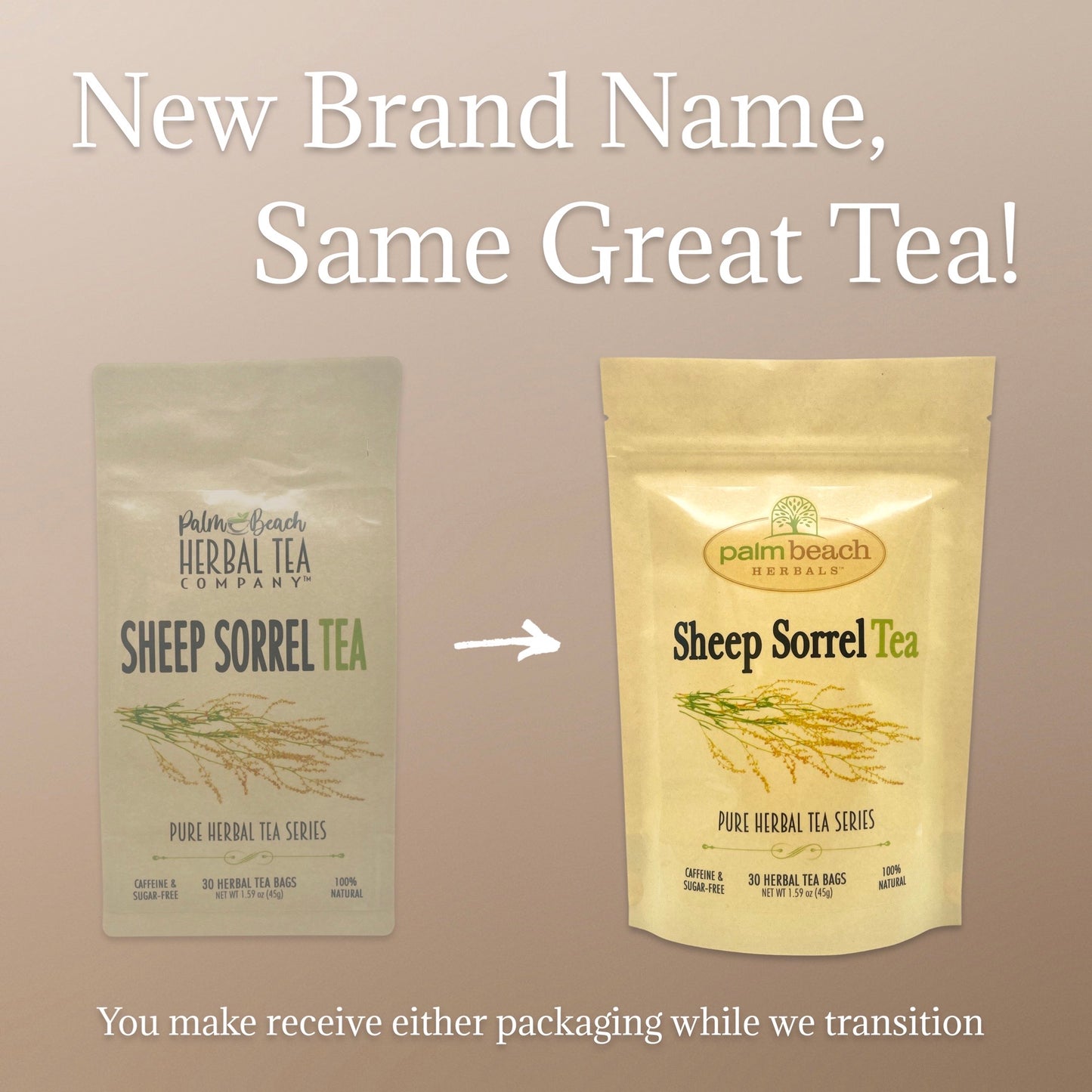 Sheep Sorrel Tea