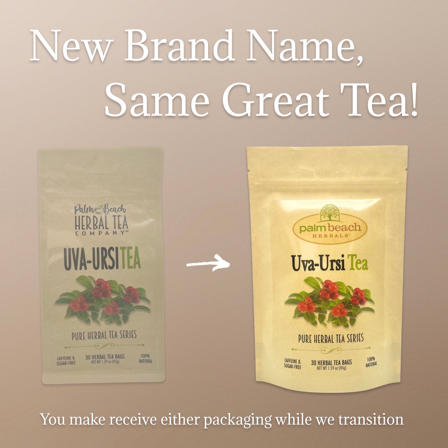 Uva Ursi Tea