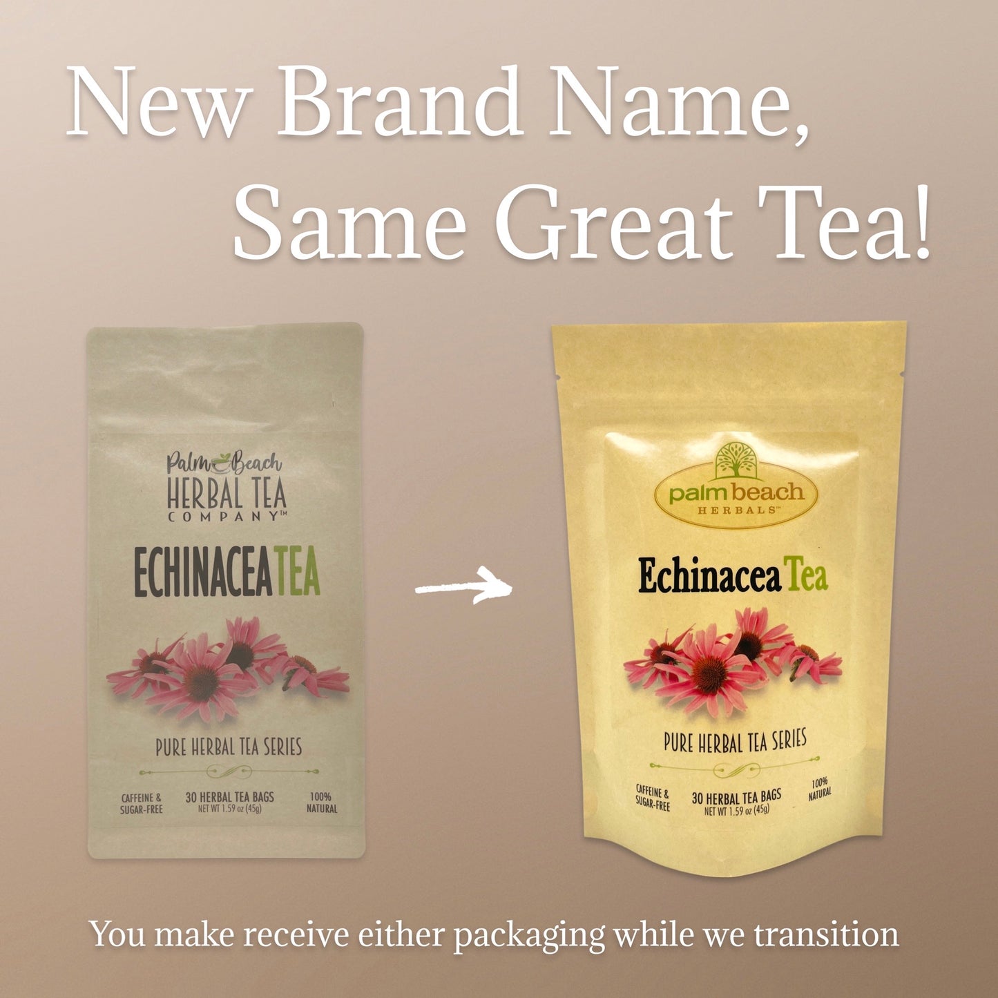 Echinacea Tea