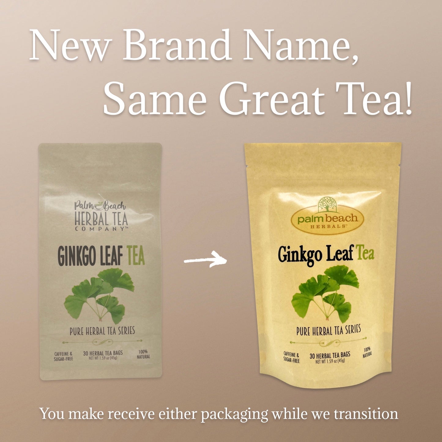 Ginkgo Leaf Tea