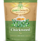 Chickweed Tea