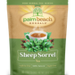 Sheep Sorrel Tea