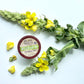 Mullein Leaf Tea T-CUP™ Herbal Tea Pods  | Single Cup Brew