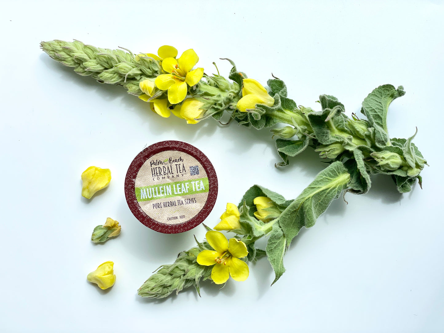 Mullein Leaf Tea T-CUP™ Herbal Tea Pods  | Single Cup Brew