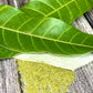 Mango Leaf Tea