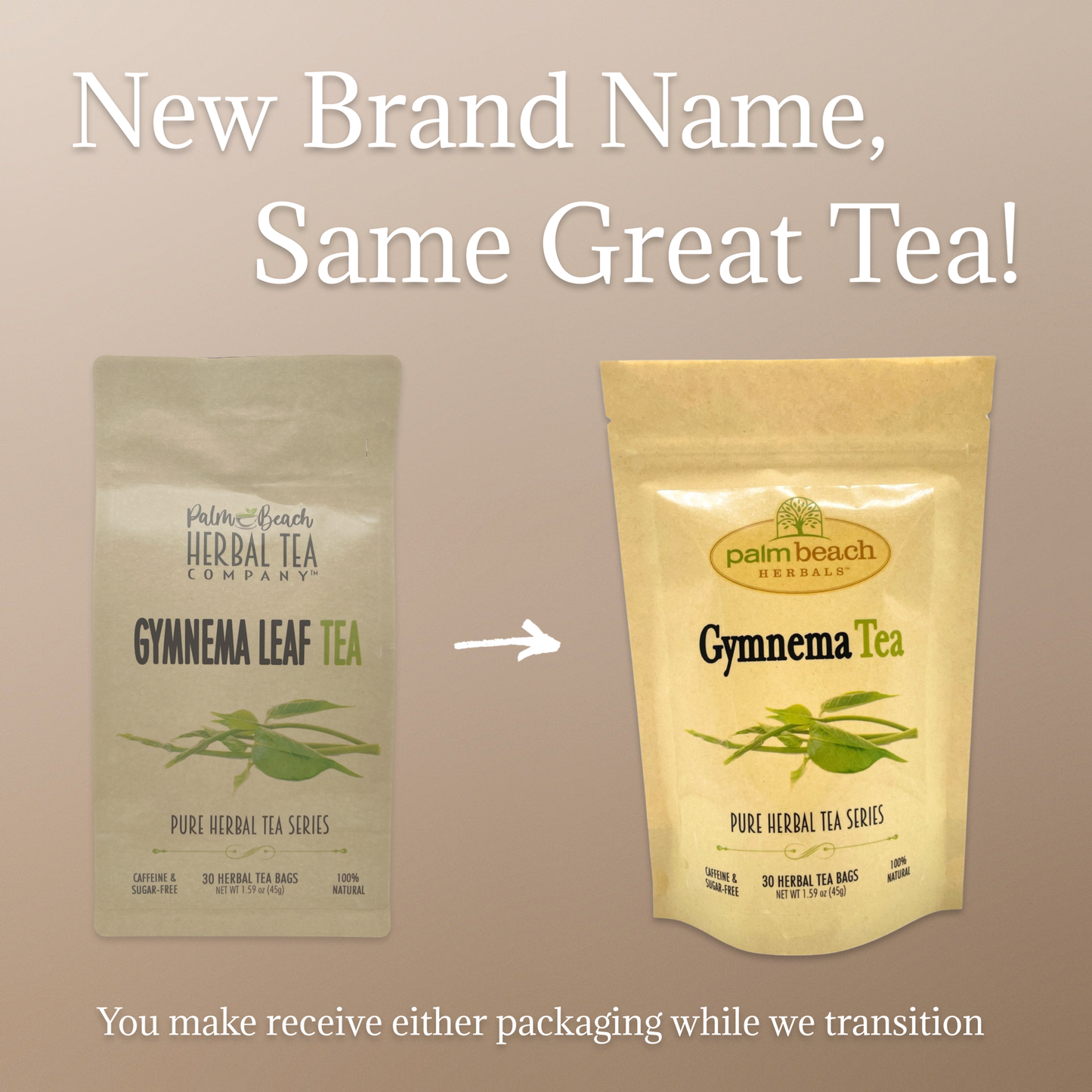 Gymnema Leaf Tea